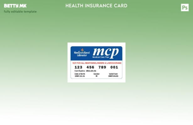 Модерен стил Шаблон за картички за медицински план на Њуфаундленд и Лабрадор